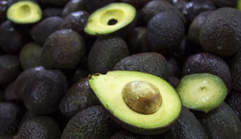 Aguacate Eleva Su Precio Y Llega A Pesos El Kilo