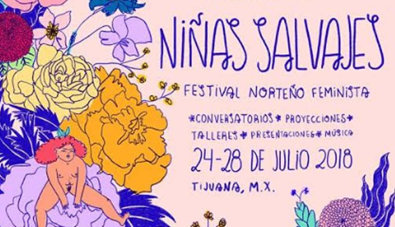 Ninas Salvajes Colectivo Por La Equidad Respeto Y Tolerancia