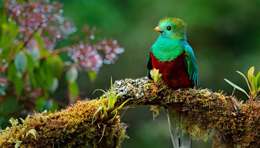 México Alberga El 10 De La Biodiversidad Mundial 9320