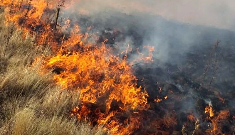 Recibe el IME 27 denuncias por quema de basura y tala de árboles