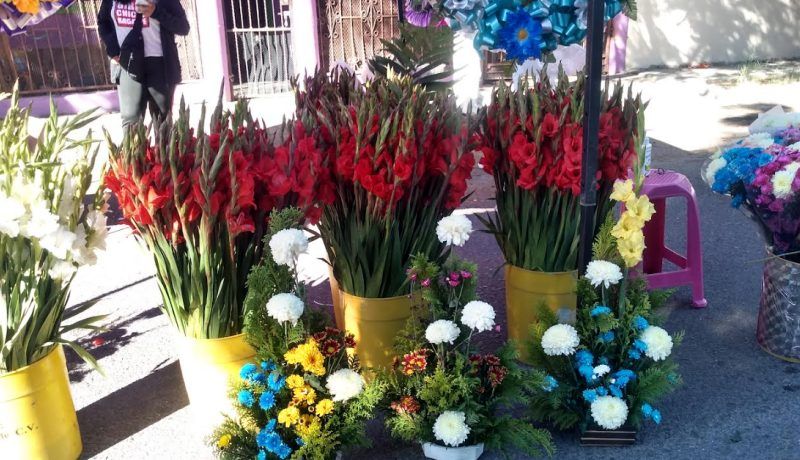 Flores naturales registran aumento de precio este Día de Muertos